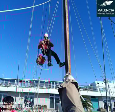 Rigging Surveys
