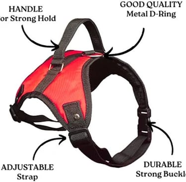 Tidy Tails Pet Grooming services Pune