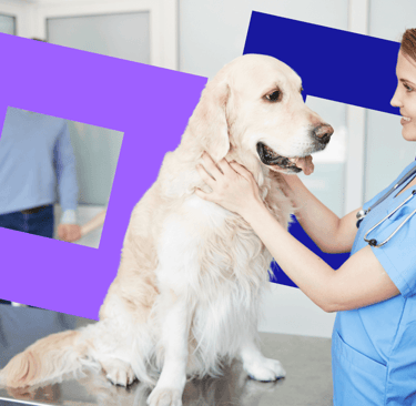 Veterinary Energy Broker
