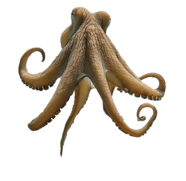 Chatrou gite chez Claudia