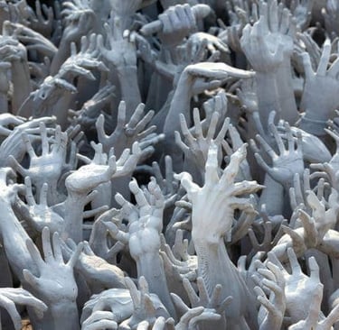 a bunch of hands with many hands up to the camera