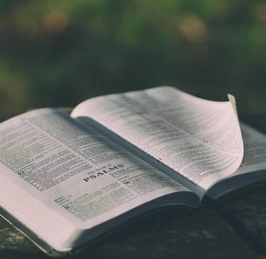 a book opened to show a book with a bookmark