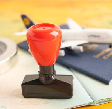Approved Stamp visa and passport document