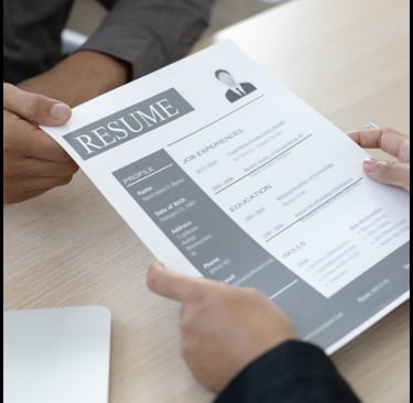 Professional Resume