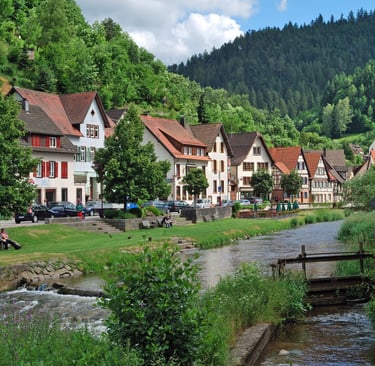 Black Forest
