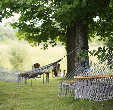 hammock