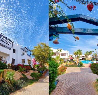 BUY SELL RENT PROPERTY REAL ESTATE SHARM EL SHEIKH buy invest Egypt