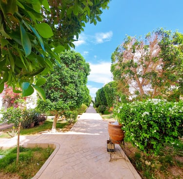 buy rent sell real estate 2 bedroom riviera sharm naama bay first floor