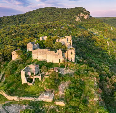 Le chateau d'Allègre