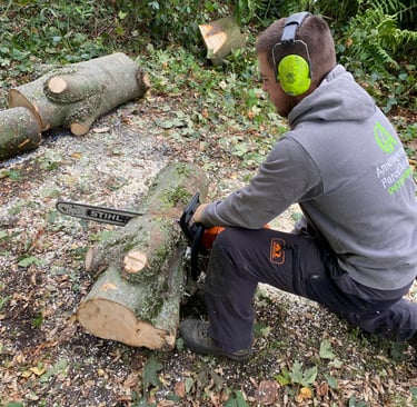 Axel Gaeta jardinier professionnel à Liège