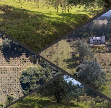 Real Campestre Acaxochitlán es un desarrollo inmobiliario diseñado para quienes buscan tranquilidad