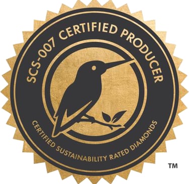 SP3 TECHNOLOGIES LLP SCS-007 CERTIFIED