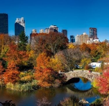 New York in the Fall