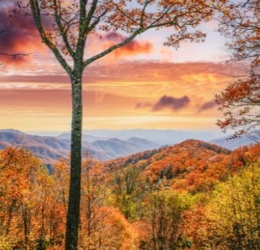 Smokey Mountains in the Fall