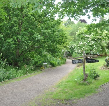 View of Westbury Wildlife park main paths