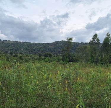 Agricultural land of 1 Acres 30 Guntas for sale near Maralawadi, Near Harohalli, off kanakapura road