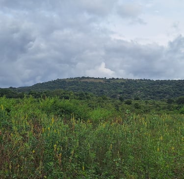 Agricultural land of 1 Acres 30 Guntas for sale near Maralawadi, Near Harohalli, off kanakapura road