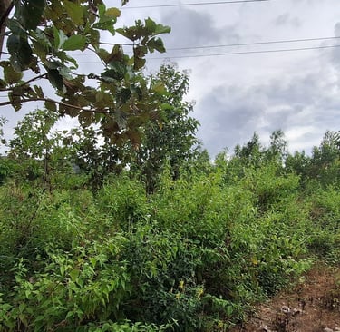 Farmland / Agricultural land of 1 Acres 18 Guntas for sale near Maralawadi, Off kanakapuara Road, Ne