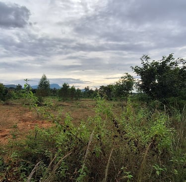 Agricultural land of 2 Acres 20 Guntas for sale near Maralawadi,Off kanakapuara Road, Near Harohalli