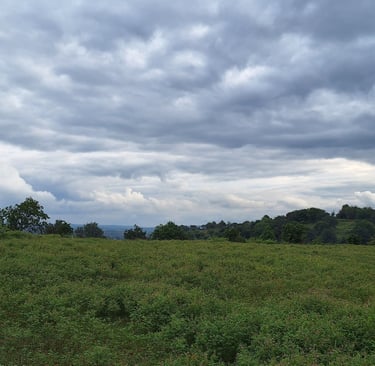 Agricultural land of 2 Acres for sale near Maralawadi, Off kanakapuara Road, Near Harohalli