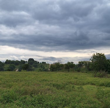 Agricultural land of 2 Acres for sale near Maralawadi, Off kanakapuara Road, Near Harohalli