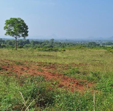 20 acres farmland / agricultural land for sale near kanakapura