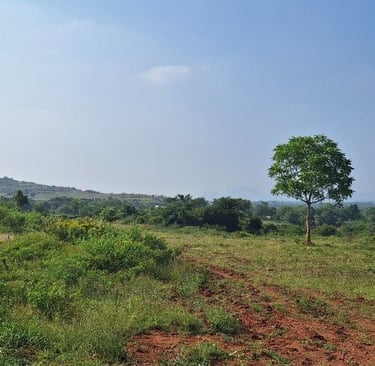 20 acres farmland / agricultural land for sale near kanakapura