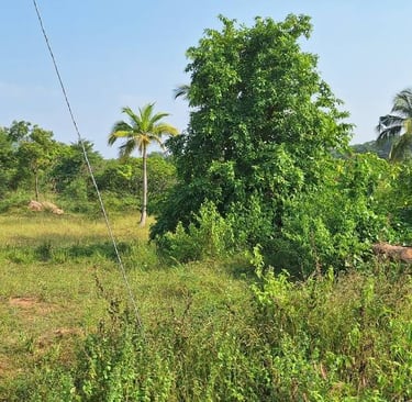 18acres agricultural land / farmland for sale near Kanakapura