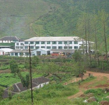 Coffee estate for sale in Chikkamagaluru
