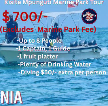 Kisite Mpunguti Marine Park boat tour featuring snorkeling and diving trips in Diani Beach Kenya.