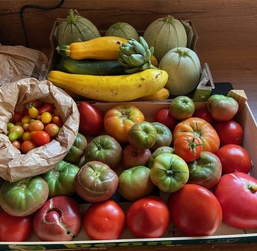 Récoltes de fruits et légumes