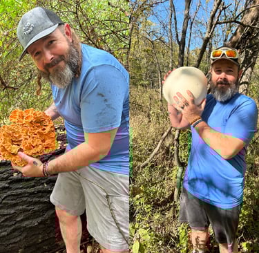 chicken-of-the-woods-and-puffball-mushrooms