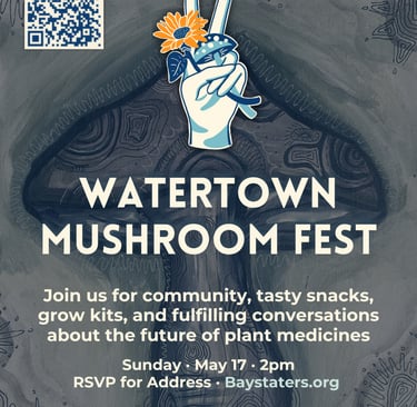 Poster for Watertown Mushroom Fest on May 17 featuring plant medicine talks and community snacks.