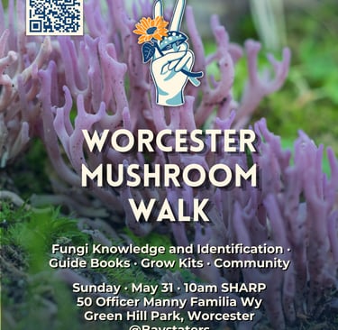 Worcester Mushroom Walk event flyer featuring purple coral fungi and event details at Green Hill Park.