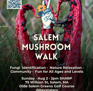 Poster for Salem Mushroom Walk featuring a red octopus stinkhorn fungus and event details in Salem, MA.