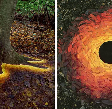 Natural land art featuring a glowing tree base and a circular gradient of autumn leaves.