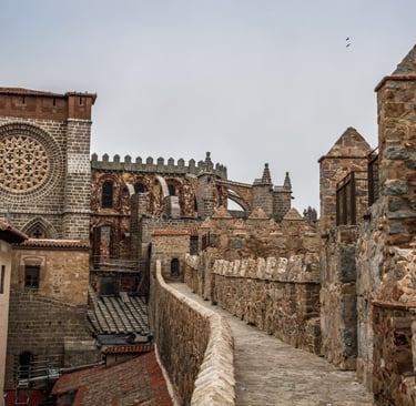 vista de la muralla de avila desde la parte de arriba