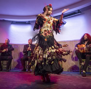 Tablao de la villa Flamenco show in Madrid