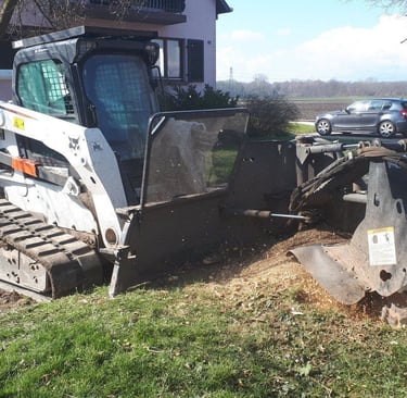 Service de rognage de souche à Mackenheim en Alsace