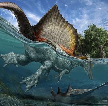 Copyright: Davide Bonadonna