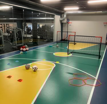 Area multisport della palestra Move 2 Grow a Milano con campo colorato, porte da calcio, palloni e attrezzature per allenamen
