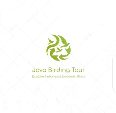 Java Birding Tour