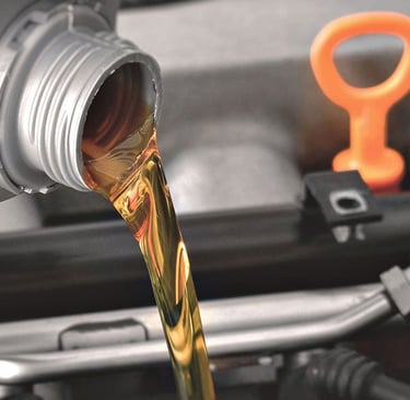 Tuneup and Oil Change Service