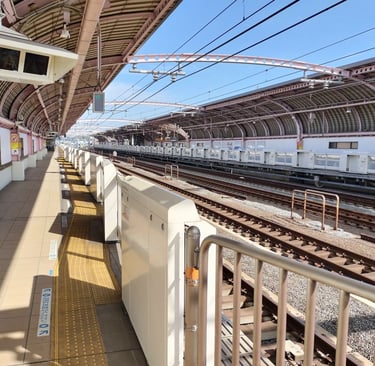 Umegaoka station (By 鋸香具師 - Own work, CC BY-SA 4.0, https://commons.wikimedia.org/w/index.php?curid=