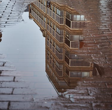 Reflektionen