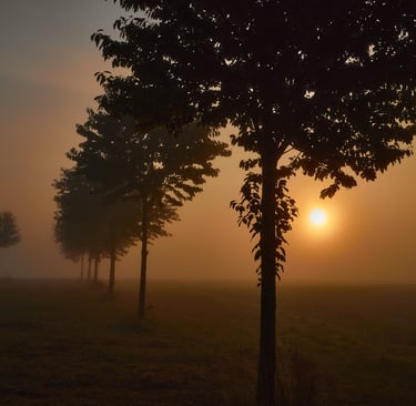 Landschaft und Natur
