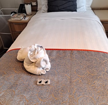 towel folded like a dog on bed with 2 pieces of chocolate