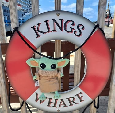 Little Green companion sitting inside life preserver that says Kings Wharf