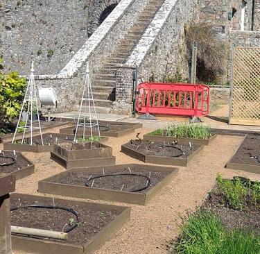 garden in front of steep stone steps