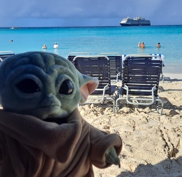 Little Green Companion on Beach